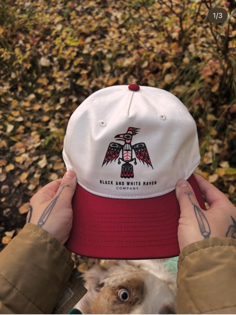 Northwest coast formline Tlingit Raven Logo Baseball Cap